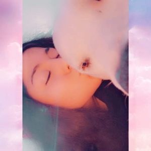 Meet your Posher, Barbra